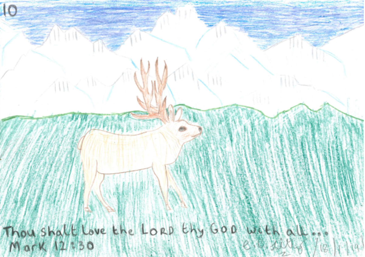 Biblical Landscapes : Beautiful Images of Places related to a Bible Verse, Part Two