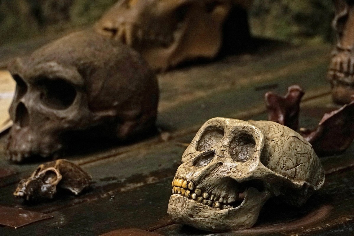 The Fiji Mermaid and Lying Stones: 4 Hoaxes Perpetrated on Science