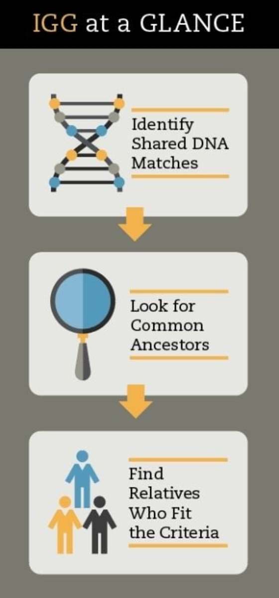 Catch Me If You Can! Genetic Geneology Helps Solve Cold Cases