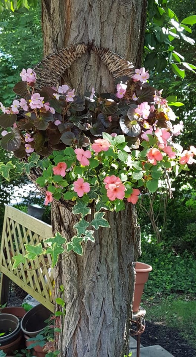 Loving My Favorite Season Summer