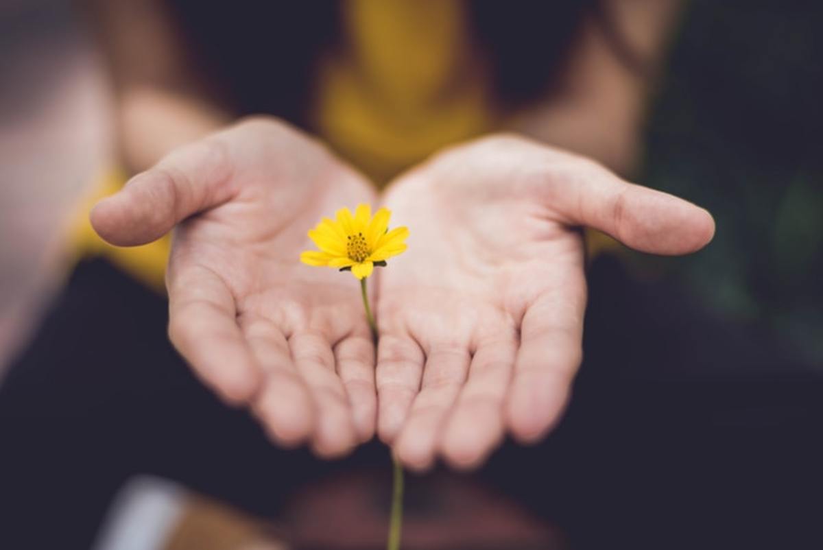 10 Forgiveness Quotes to Help You Heal